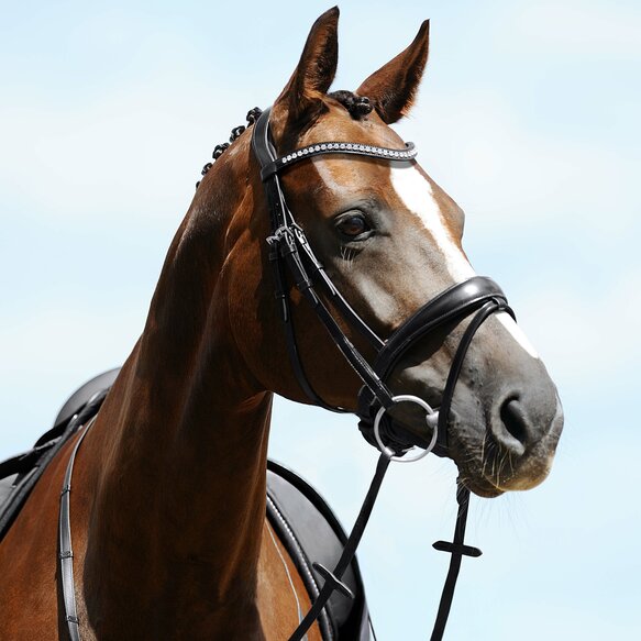 Black snaffle bridle with a sparkling browband and padded noseband on a bay horse with a blaze