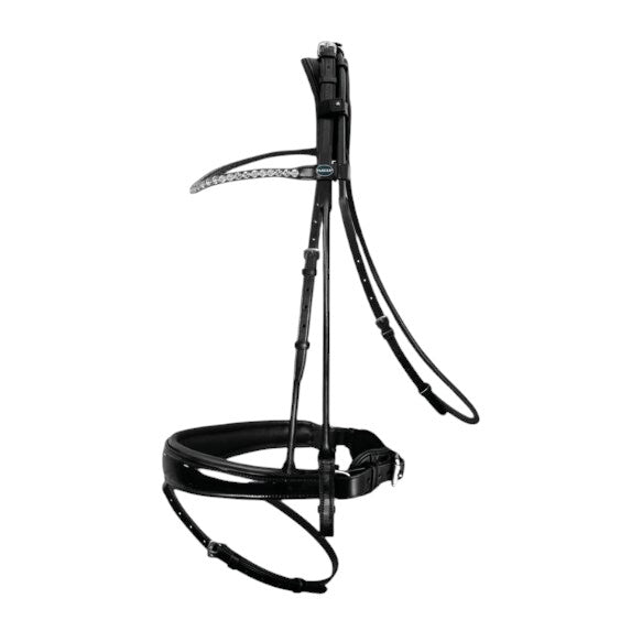 Passier Harmony Snaffle Bridle