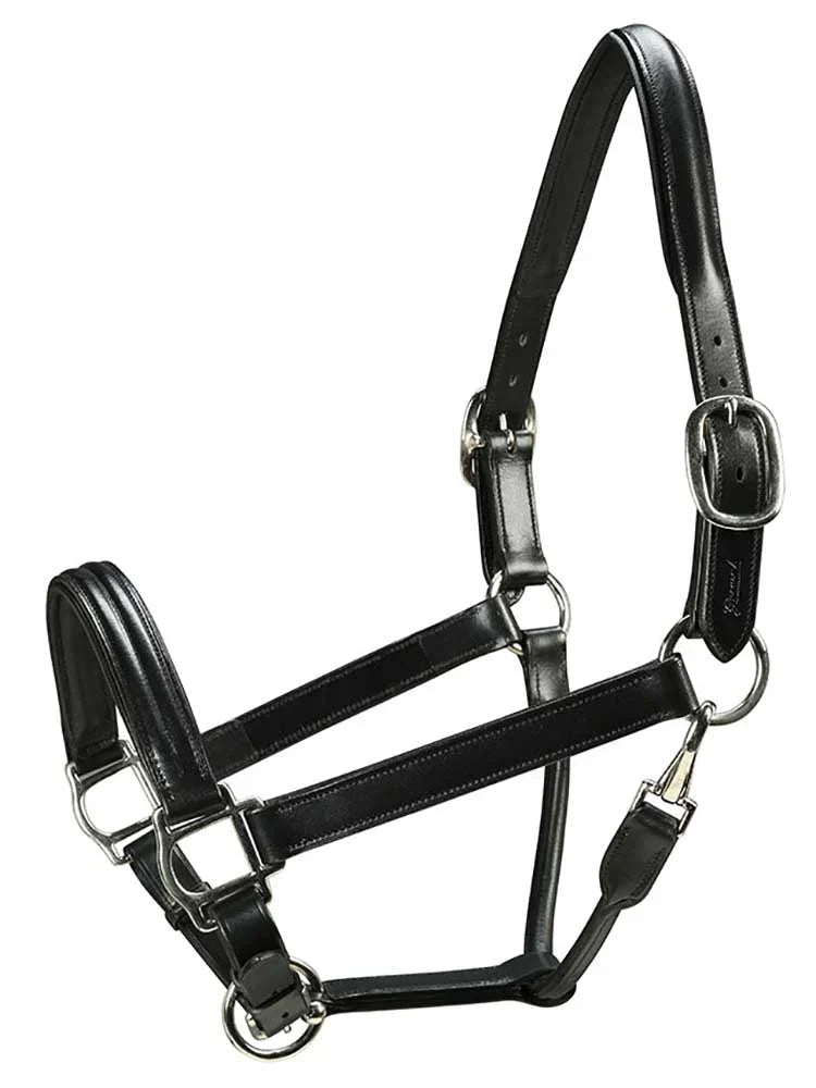 Black leather halter on white, full view with raised crown and noseband, silver-tone buckles and a throat snap