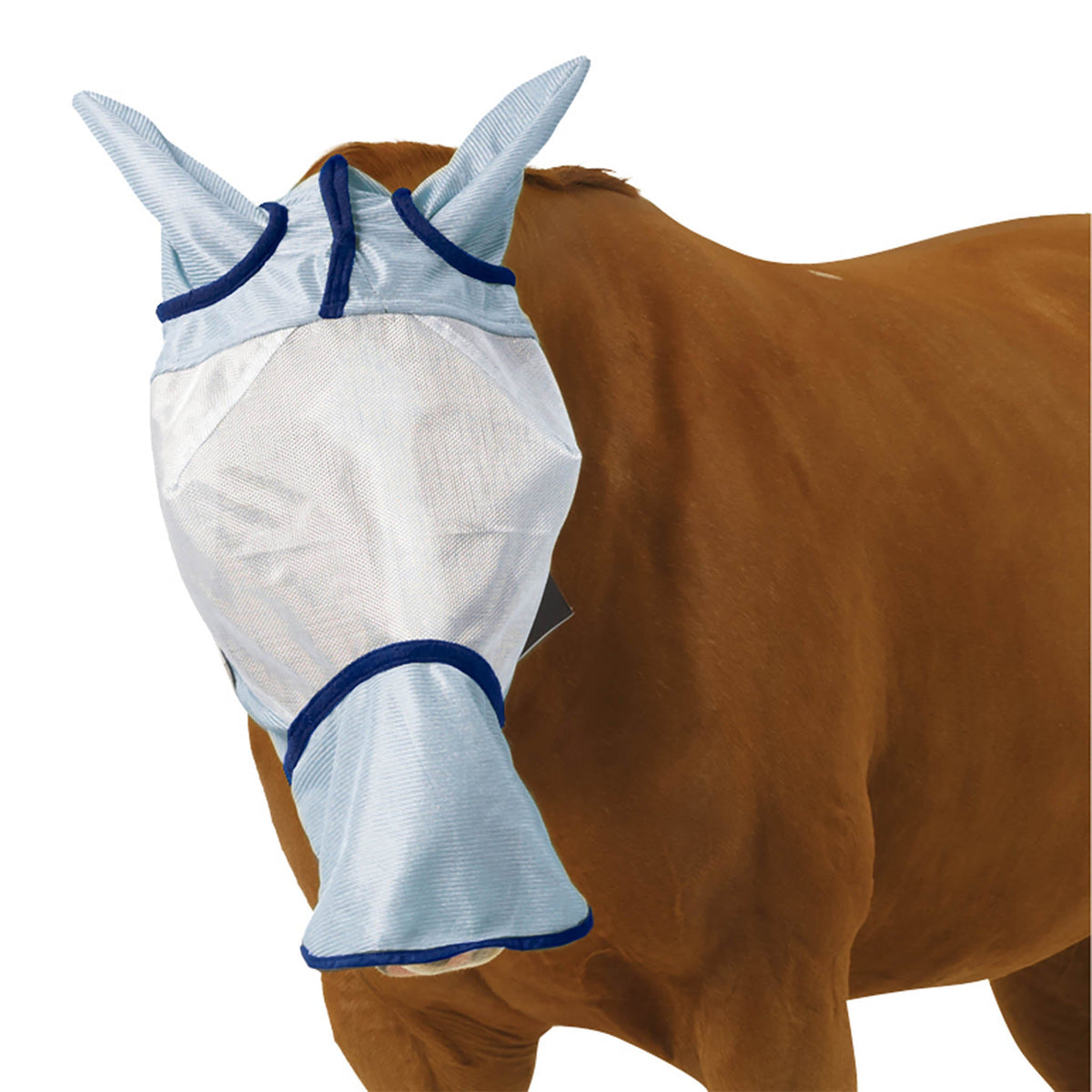 Light blue mesh fly mask with navy binding, ear covers and a long nose cover on a chestnut horse
