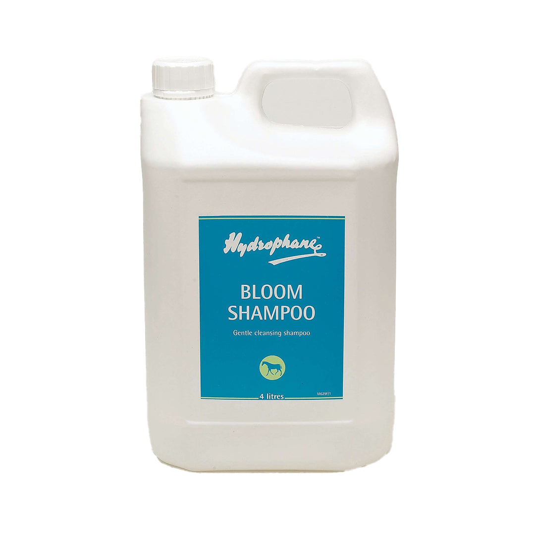 White jerry can with a handle and a teal Hydrophane Bloom Shampoo label, front view
