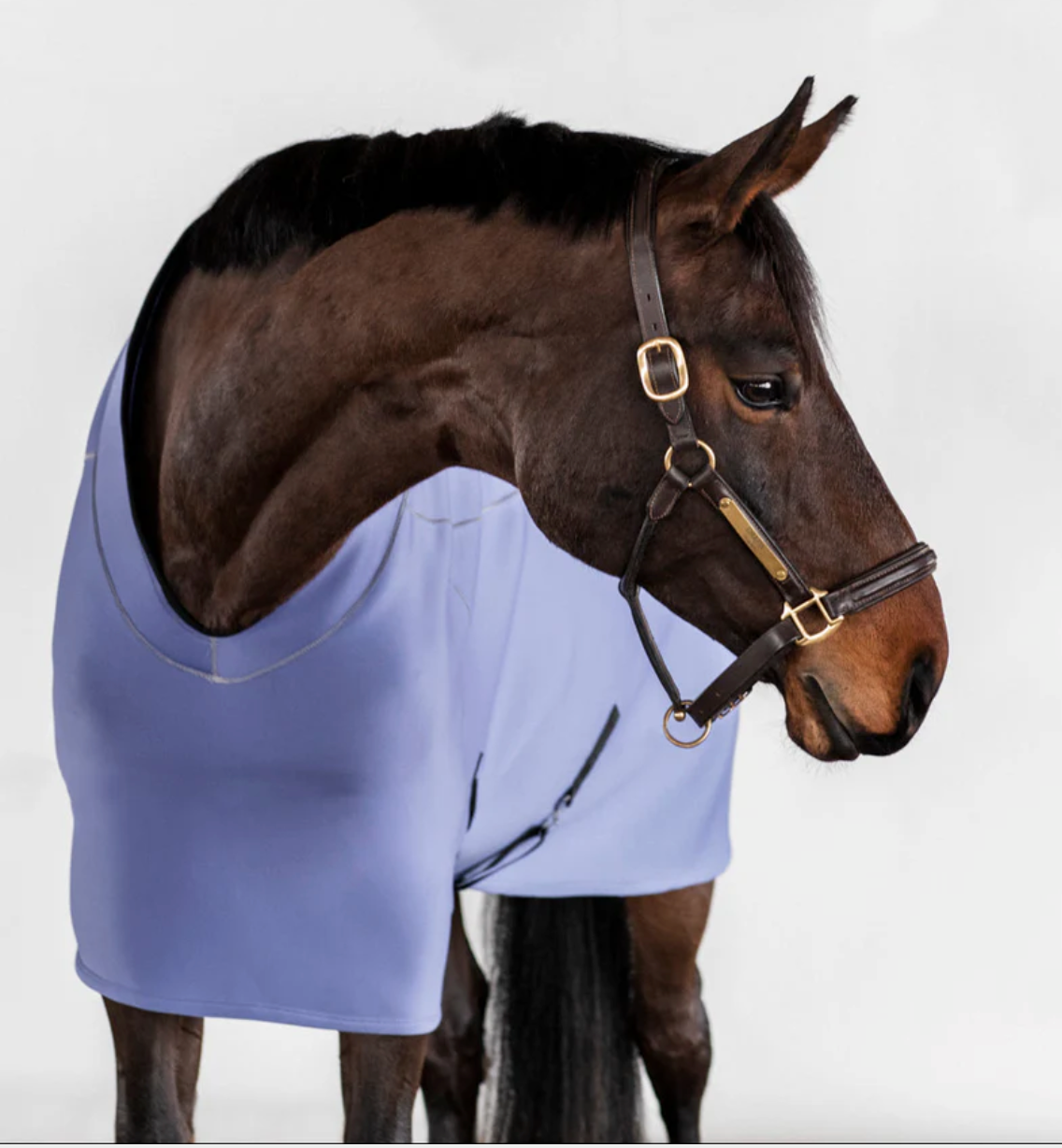 Anatomeq Fit Blanket