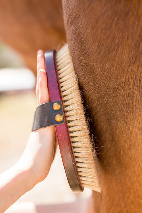 Person grooming a horse with a brush, focusing on the interaction between hand and horse.