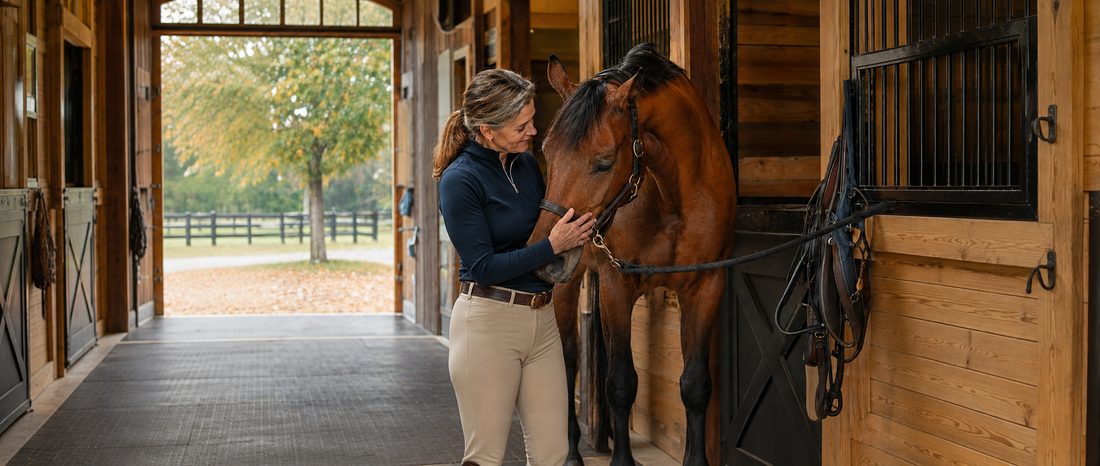 A horse in a half-lease arrangement