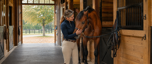 A horse in a half-lease arrangement