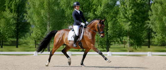 The Standard of Show Day Turnout: A Guide for the Serious English Rider