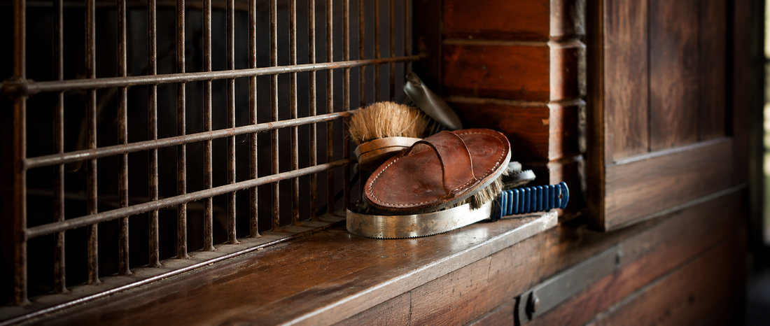 The Rider's Gift Guide: Equestrian Gifts for Every Occasion