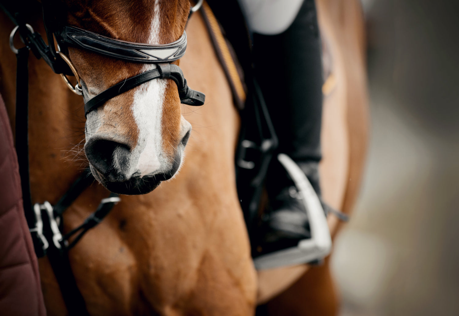 Equestrian Planners
