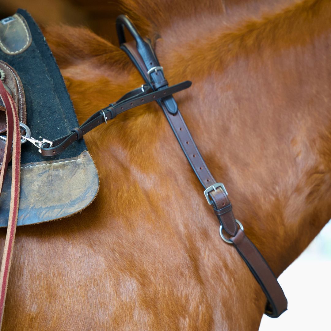Close-up of a neck strap clipped to a saddle D-ring on a chestnut horse