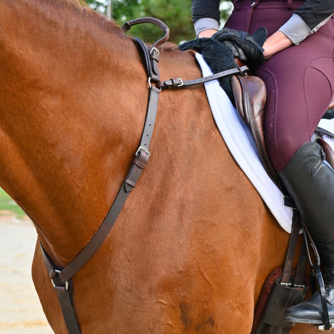 Brown breastplate on a chestnut horse with a white saddle pad, side view from the shoulder
