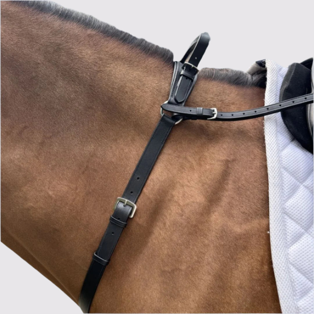 Black leather breastplate on a bay horse with a white quilted saddle pad, close side view