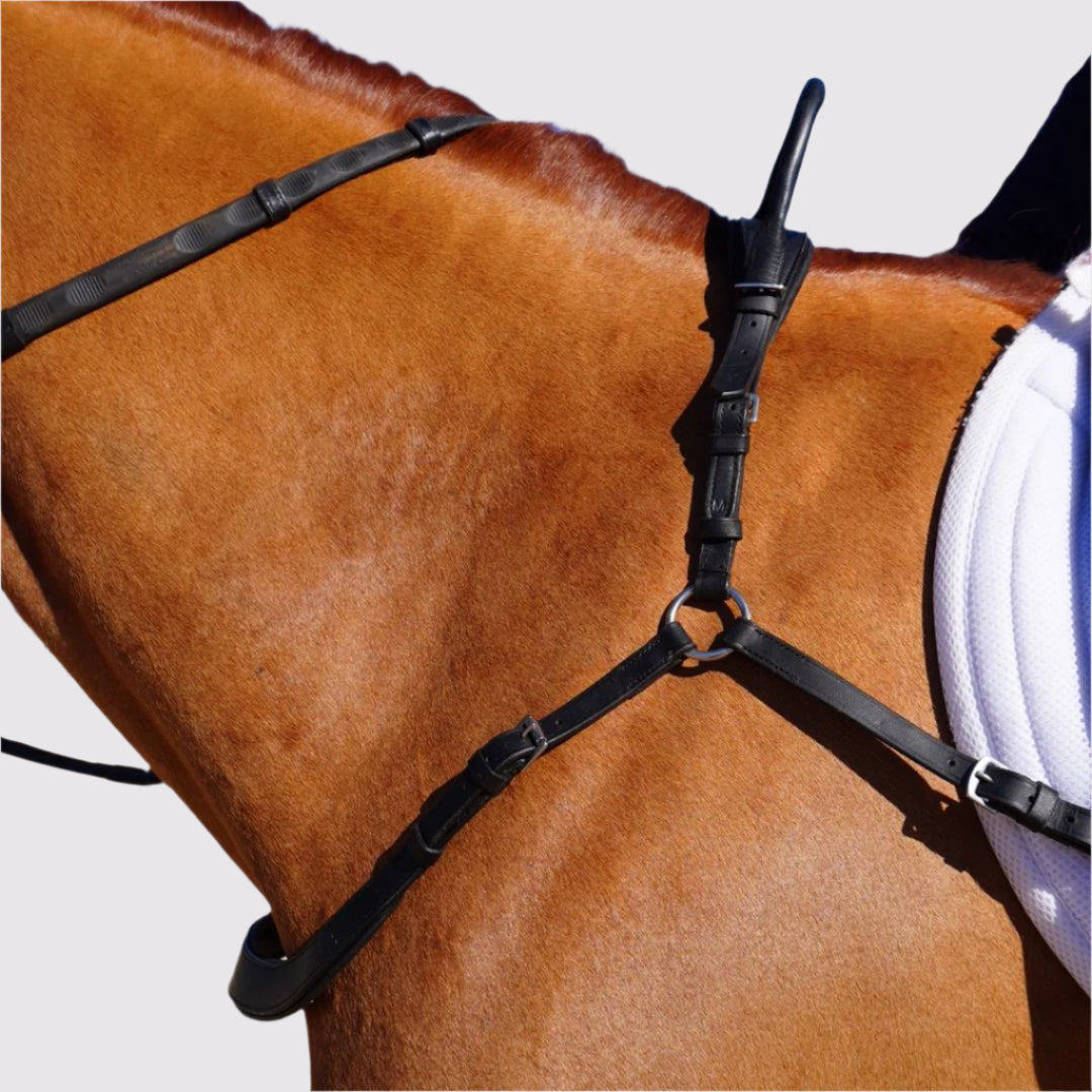 Black breastplate with a center ring and neck strap on a chestnut horse, side view against a white pad