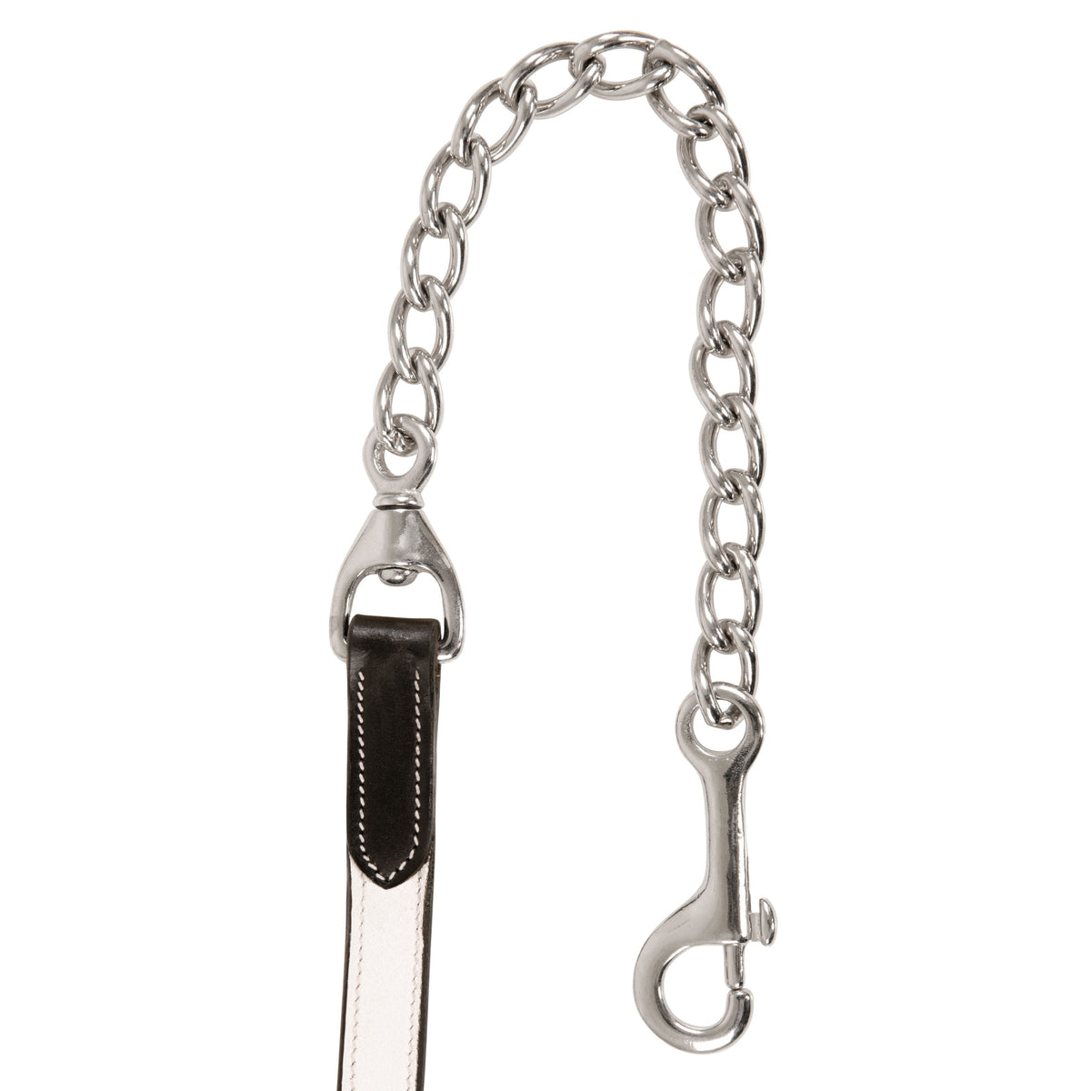 Close view of the lead's metal chain and snap attached to a black leather end with white stitching