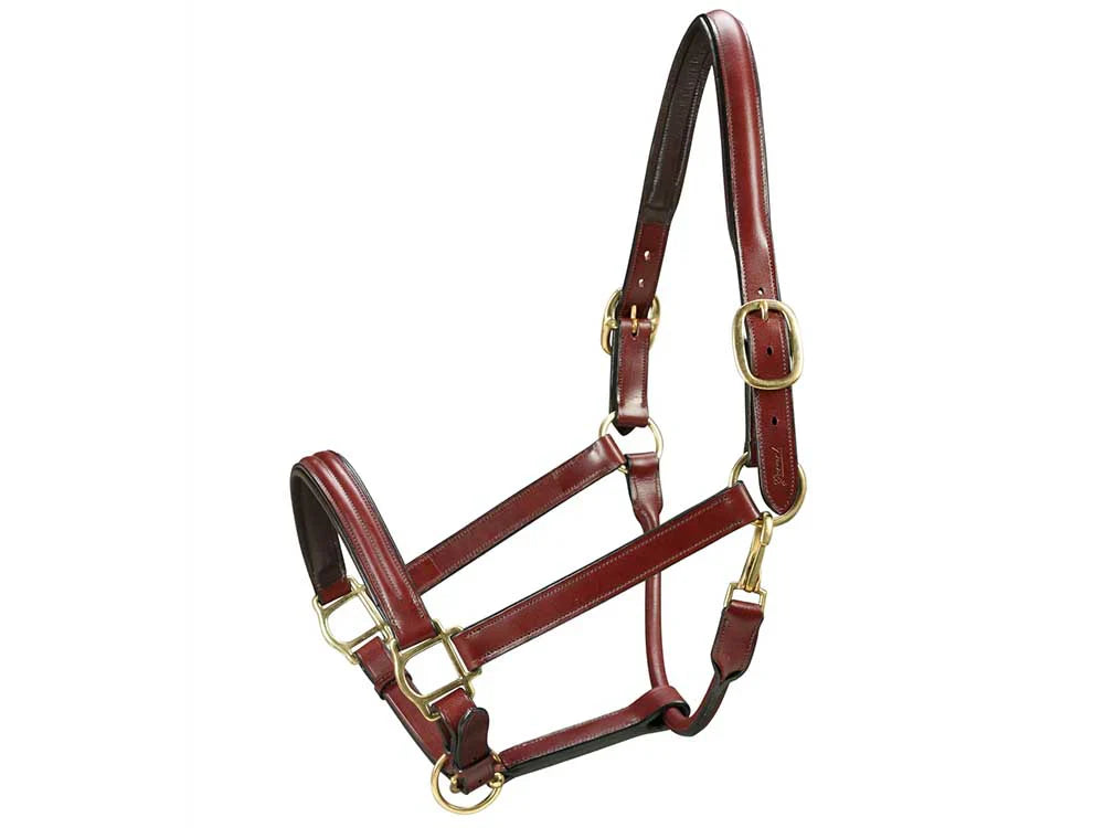 Grewal Equestrian Triple Stitched Leather Halter