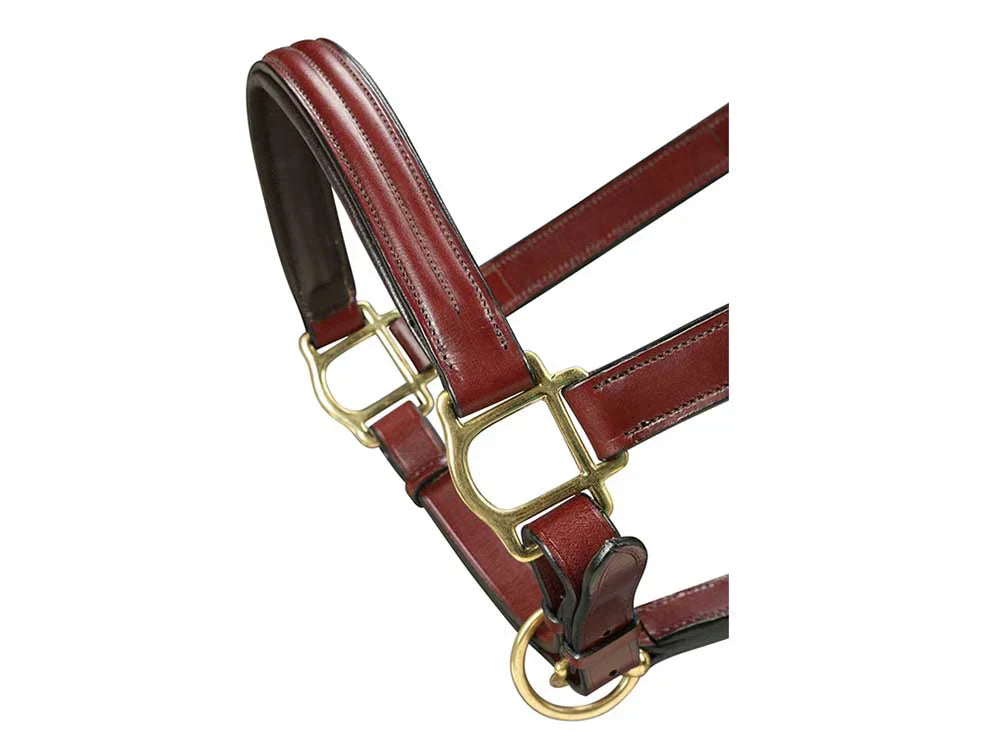 Grewal Equestrian Triple Stitched Leather Halter