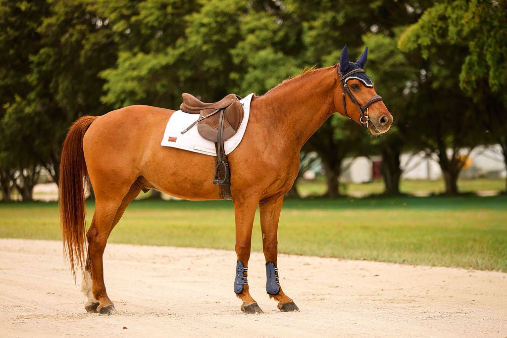 The Proper Fox Soft White Dressage Pad