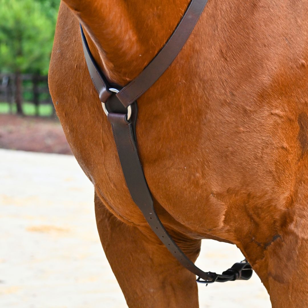 Breastplate center ring and chest strap running between a chestnut horse's front legs, close view