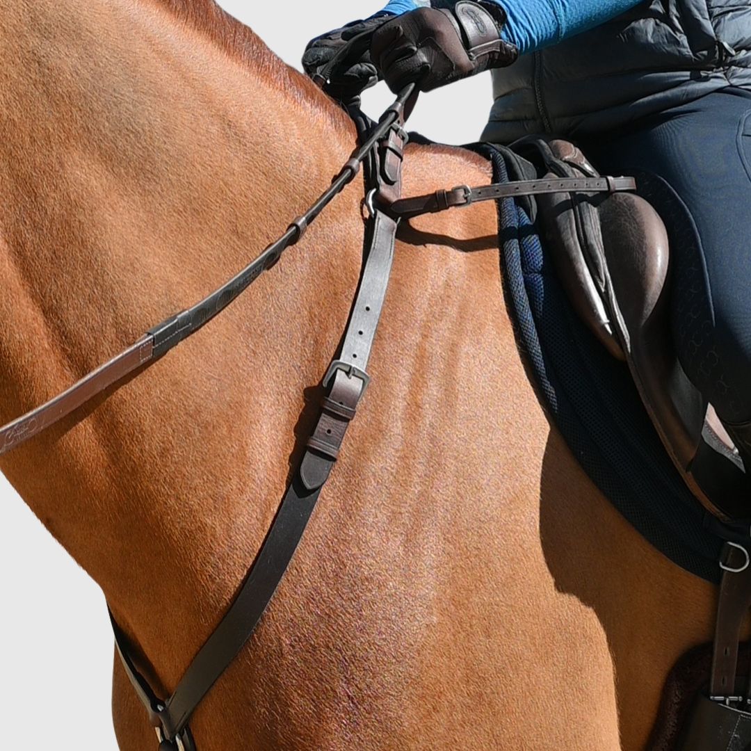 Brown leather 3-point breastplate on a chestnut horse, with the rider's hand on the neck strap