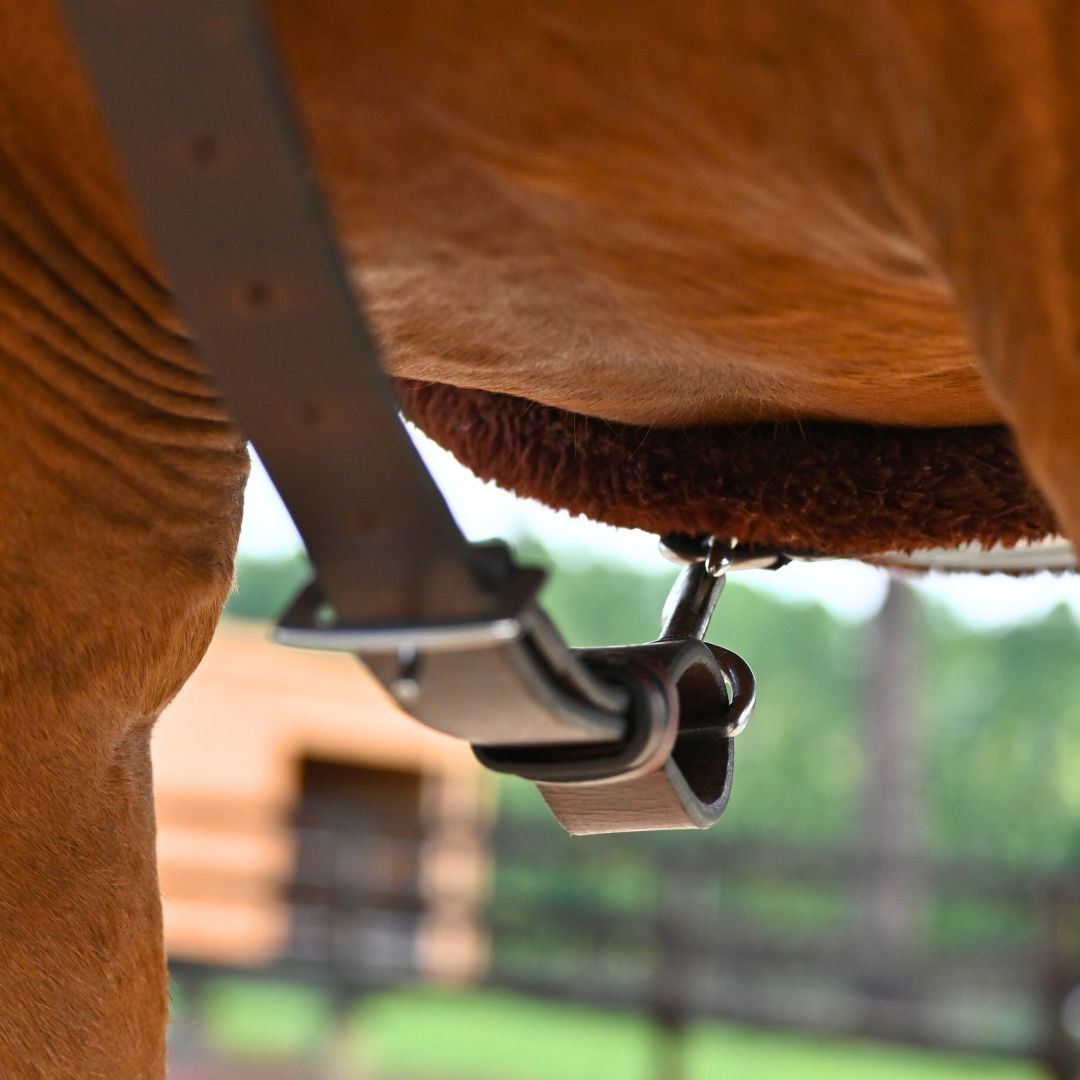 Close view of the breastplate girth strap clipping onto the girth under a chestnut horse