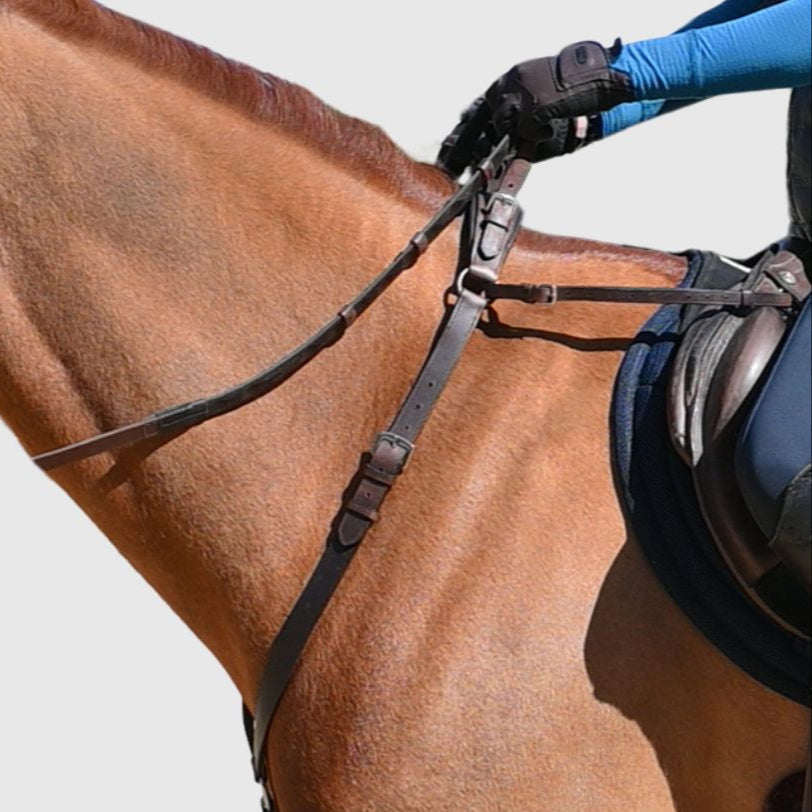 Rider's gloved hand holding the neck strap of the brown breastplate on a chestnut horse