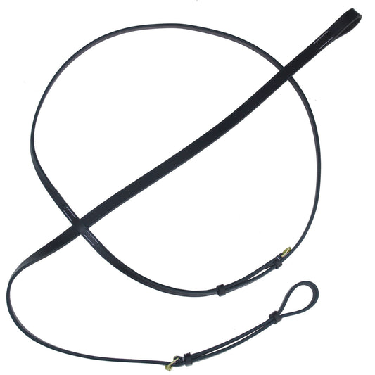 Dark leather standing martingale with brass fittings, laid in a loop on white