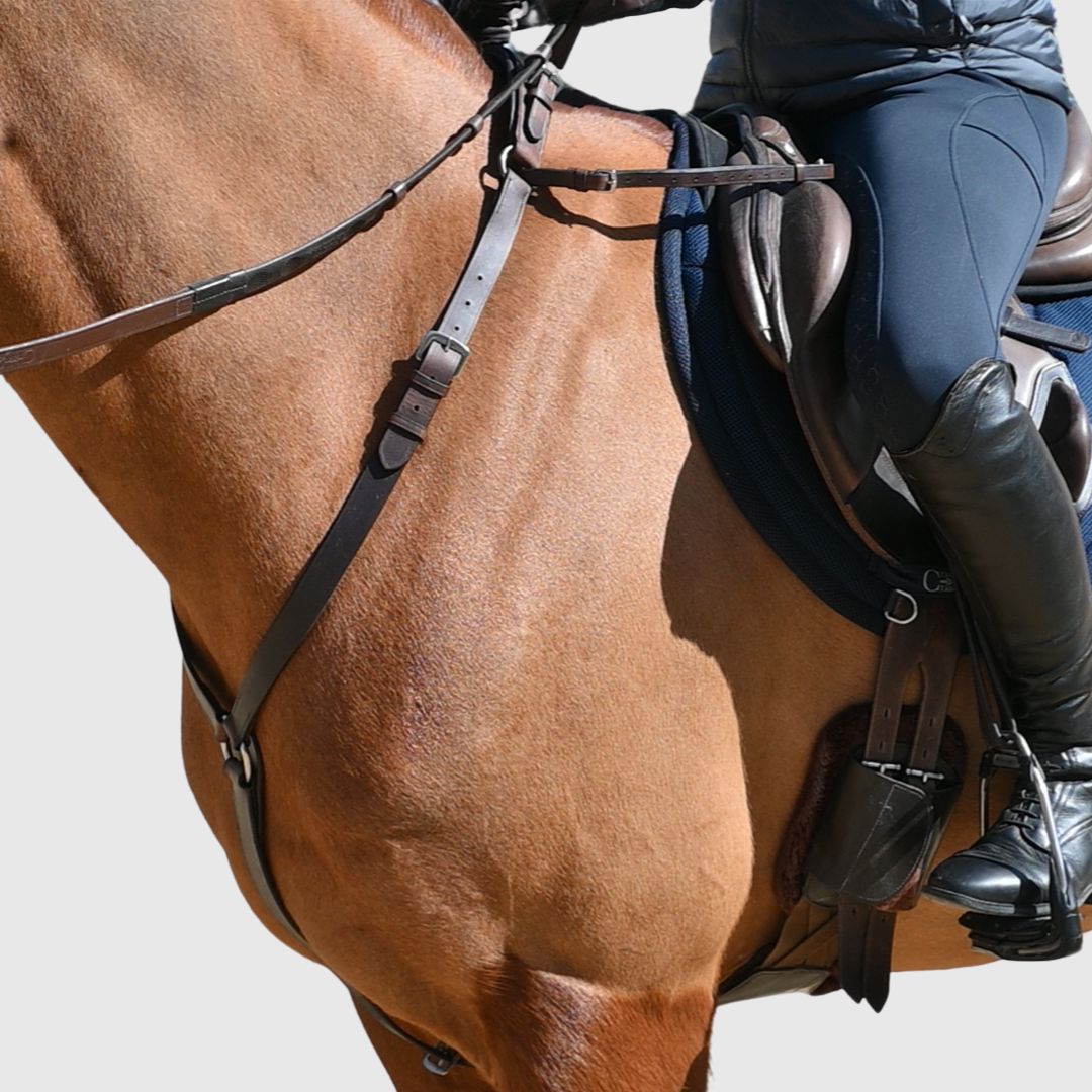 Full side view of the brown breastplate on a chestnut horse under a rider in tall boots