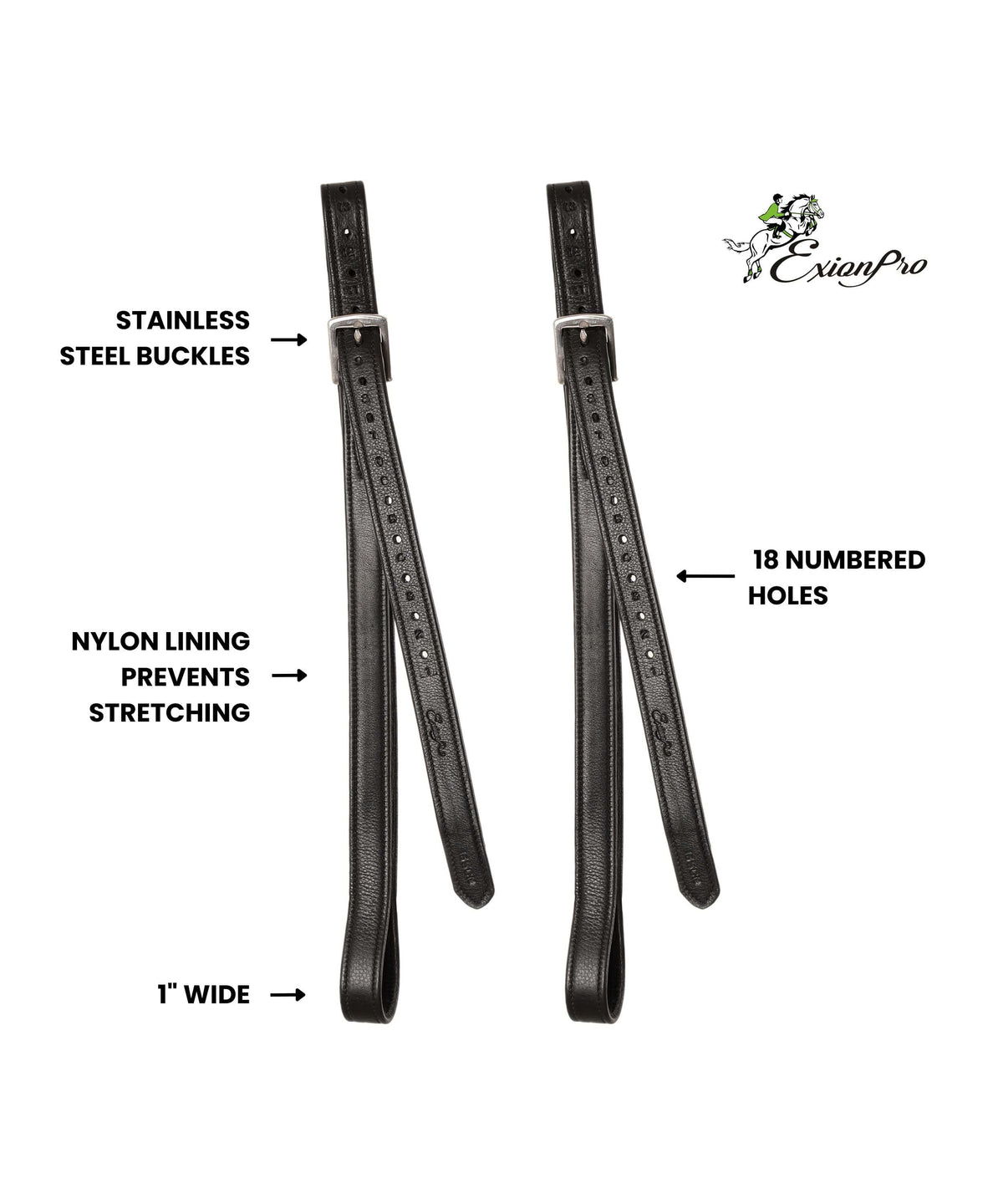 Labeled diagram of the leathers noting stainless steel buckles, nylon lining, 18 numbered holes and 1 inch width