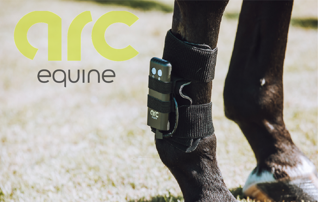 ARC Equine Therapy System Charger