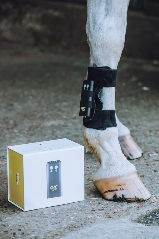 ARC Equine Therapy System