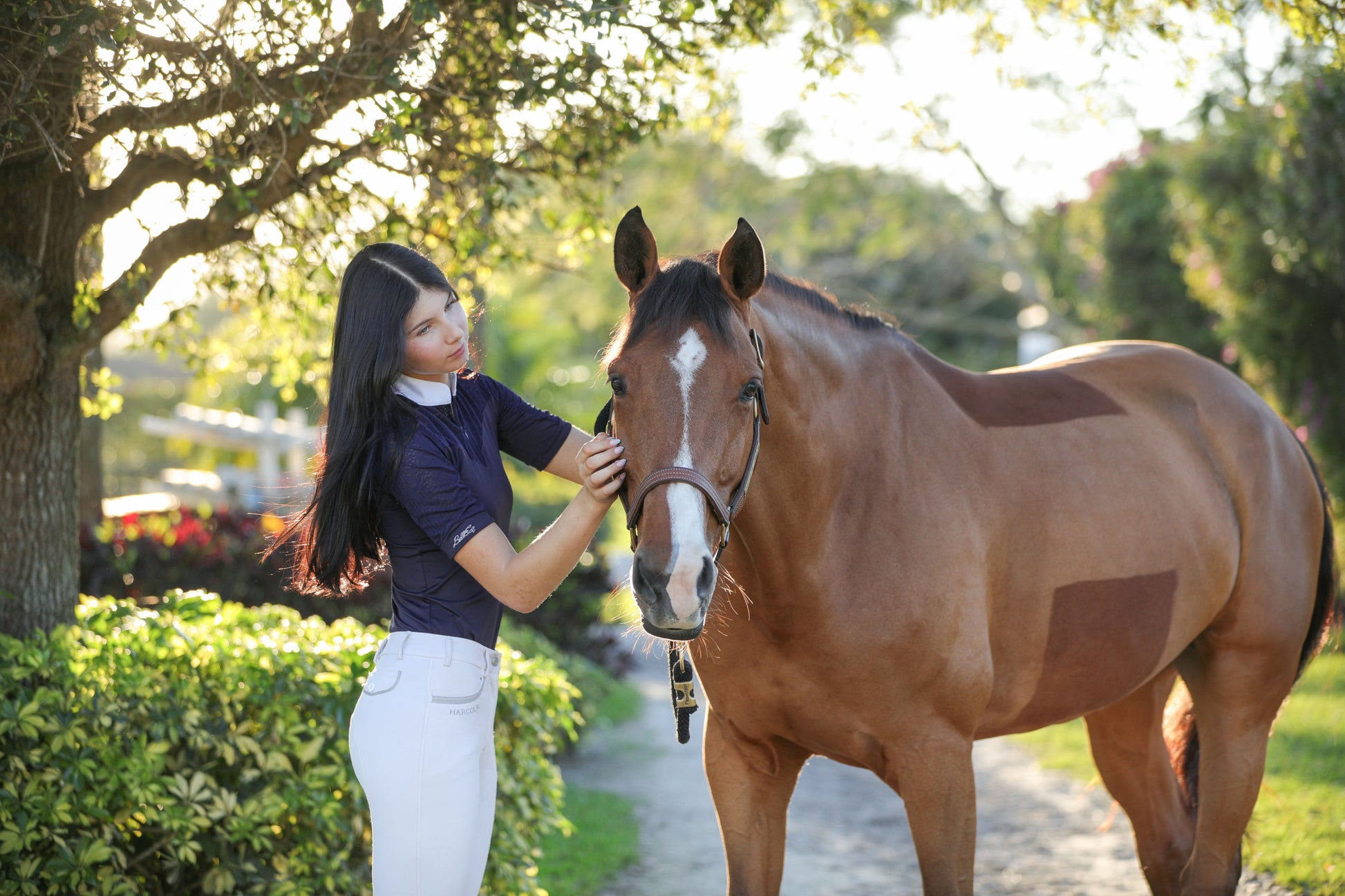 long sleeve show shirt classic equestrian styling for competition wear