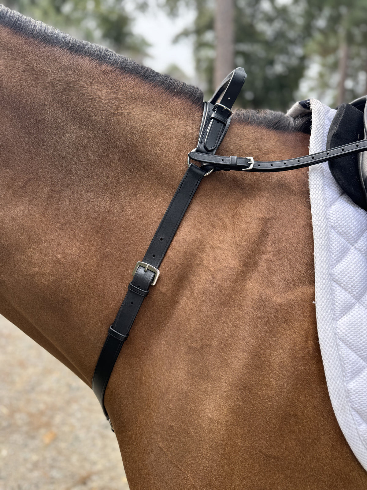 Black neck strap fitted on a brown horse beside a white saddle pad, side view