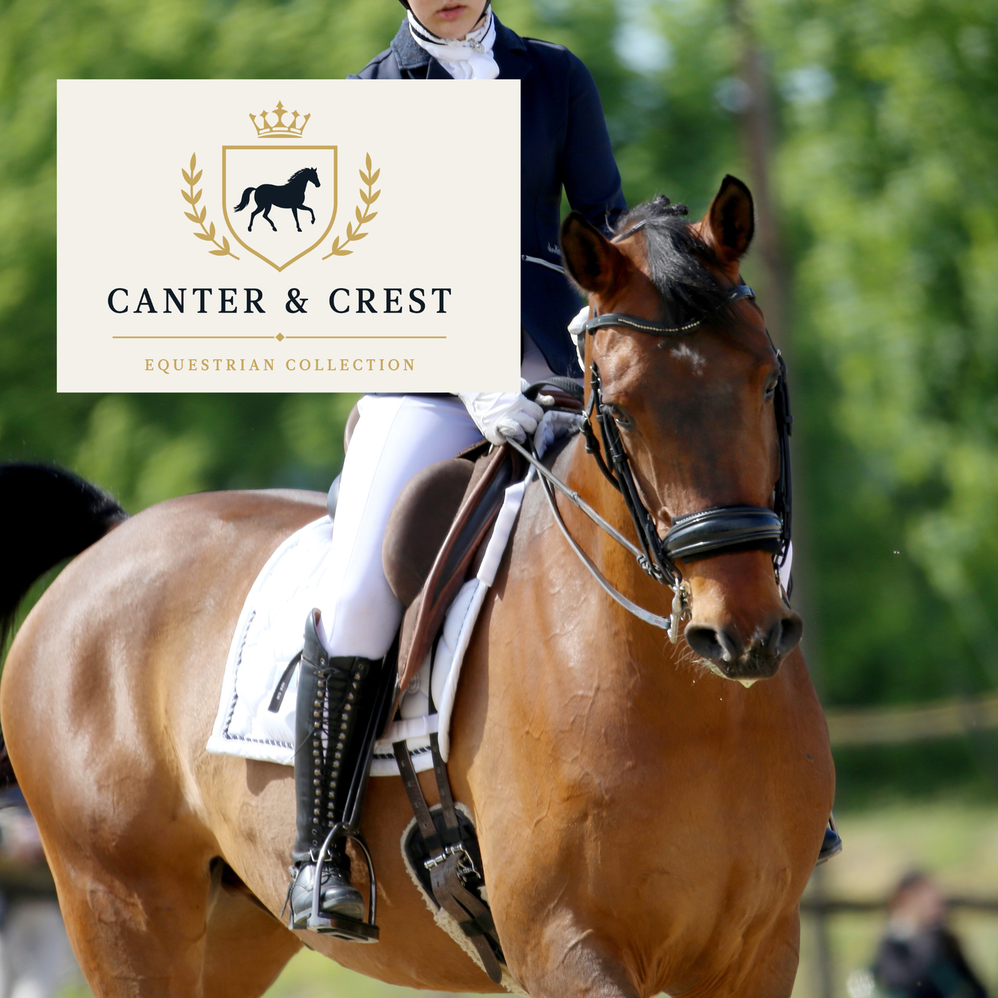 elegant equestrian show planner digital download for competition riders