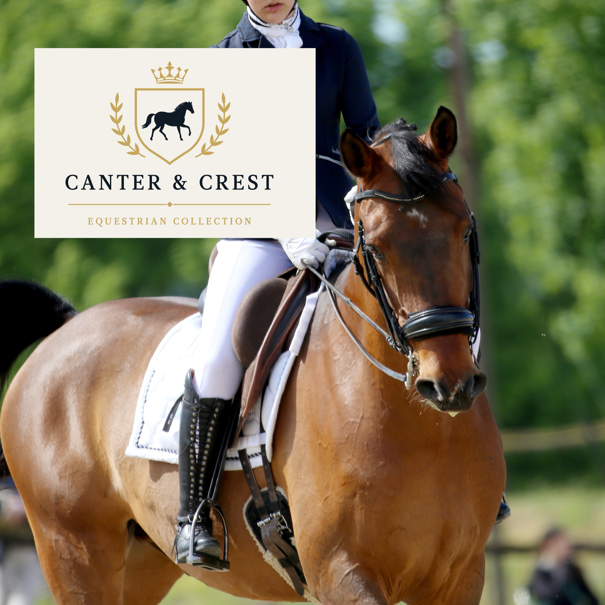 elegant equestrian show planner digital download for competition riders