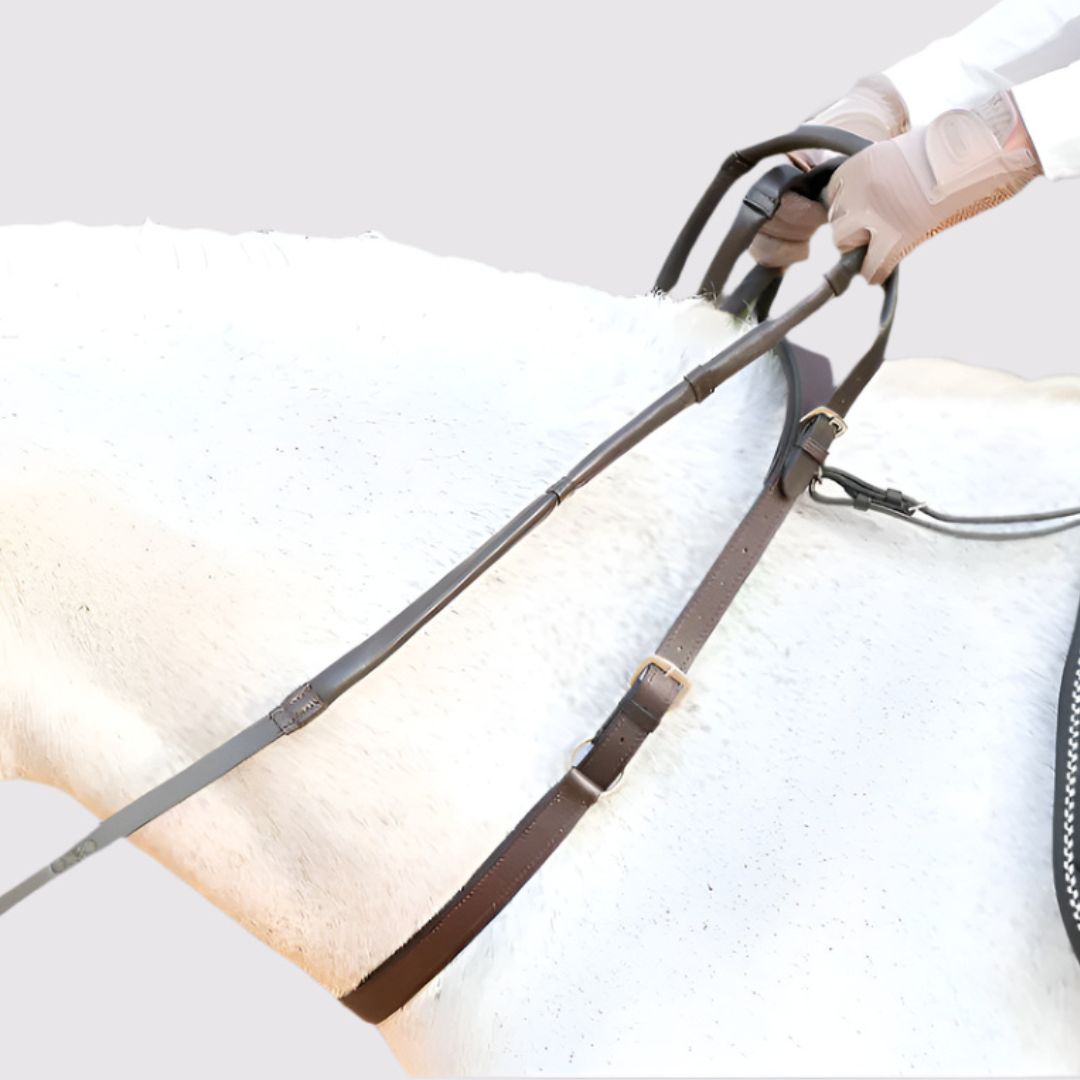 Brown leather double neck strap on a gray horse, the rider's gloved hand holding the loop