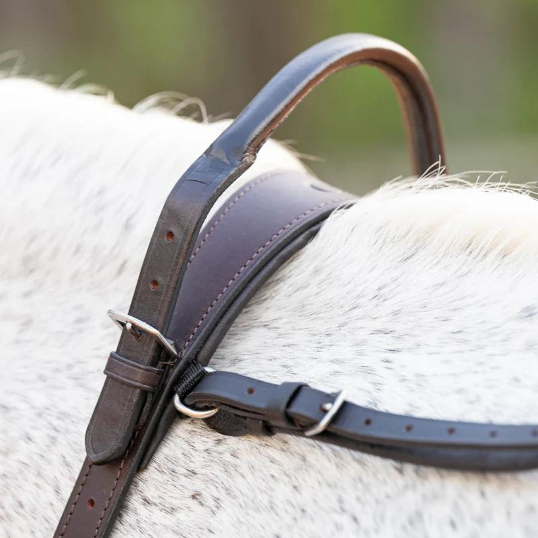 Close-up of the brown double neck strap's raised grab loop and buckles at a gray horse's withers