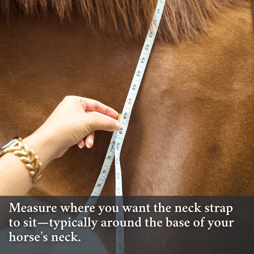 How to measure for the Double Neck Strap