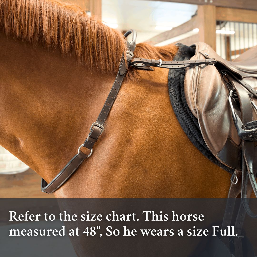 How to measure for the Double Neck Strap