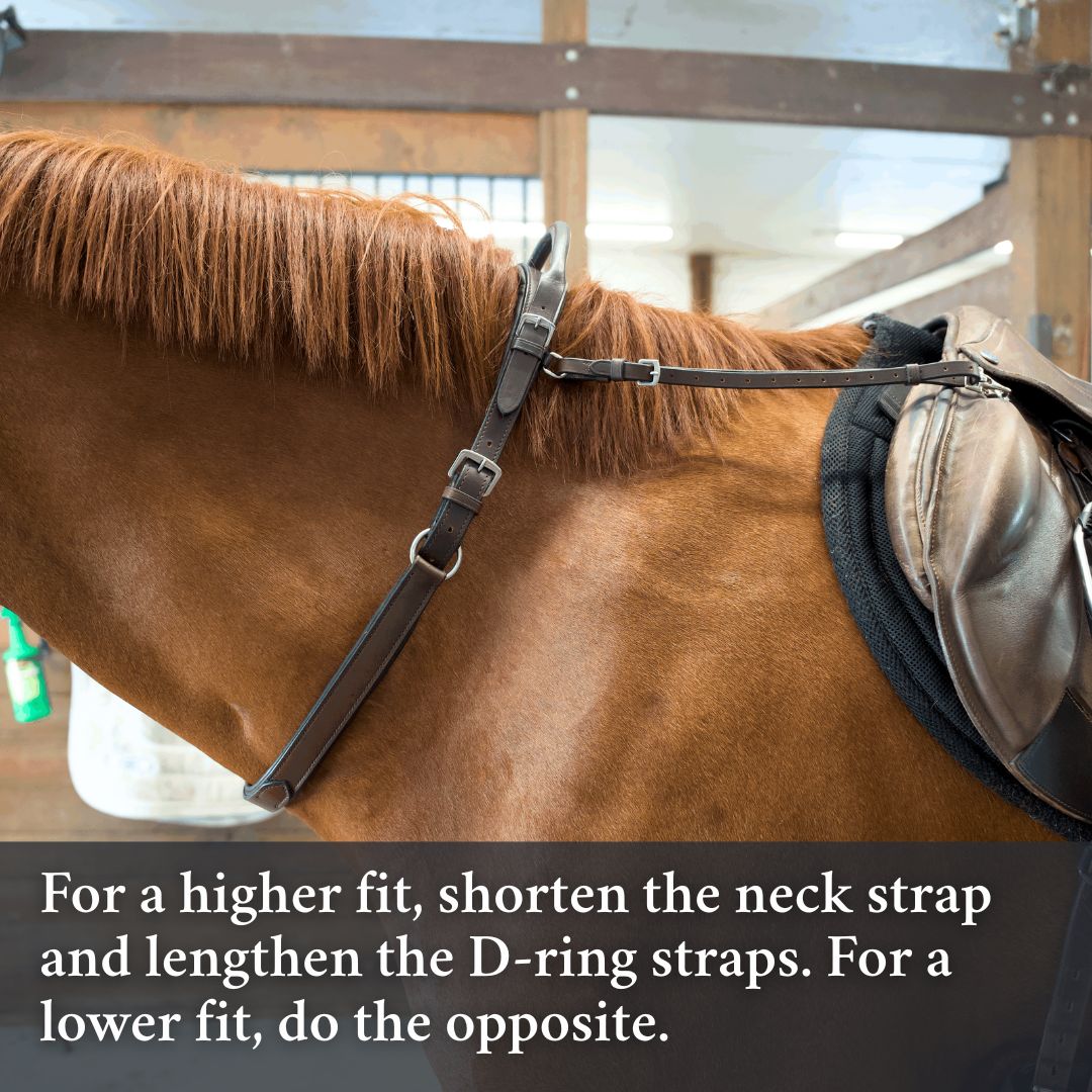 How to measure for the Double Neck Strap