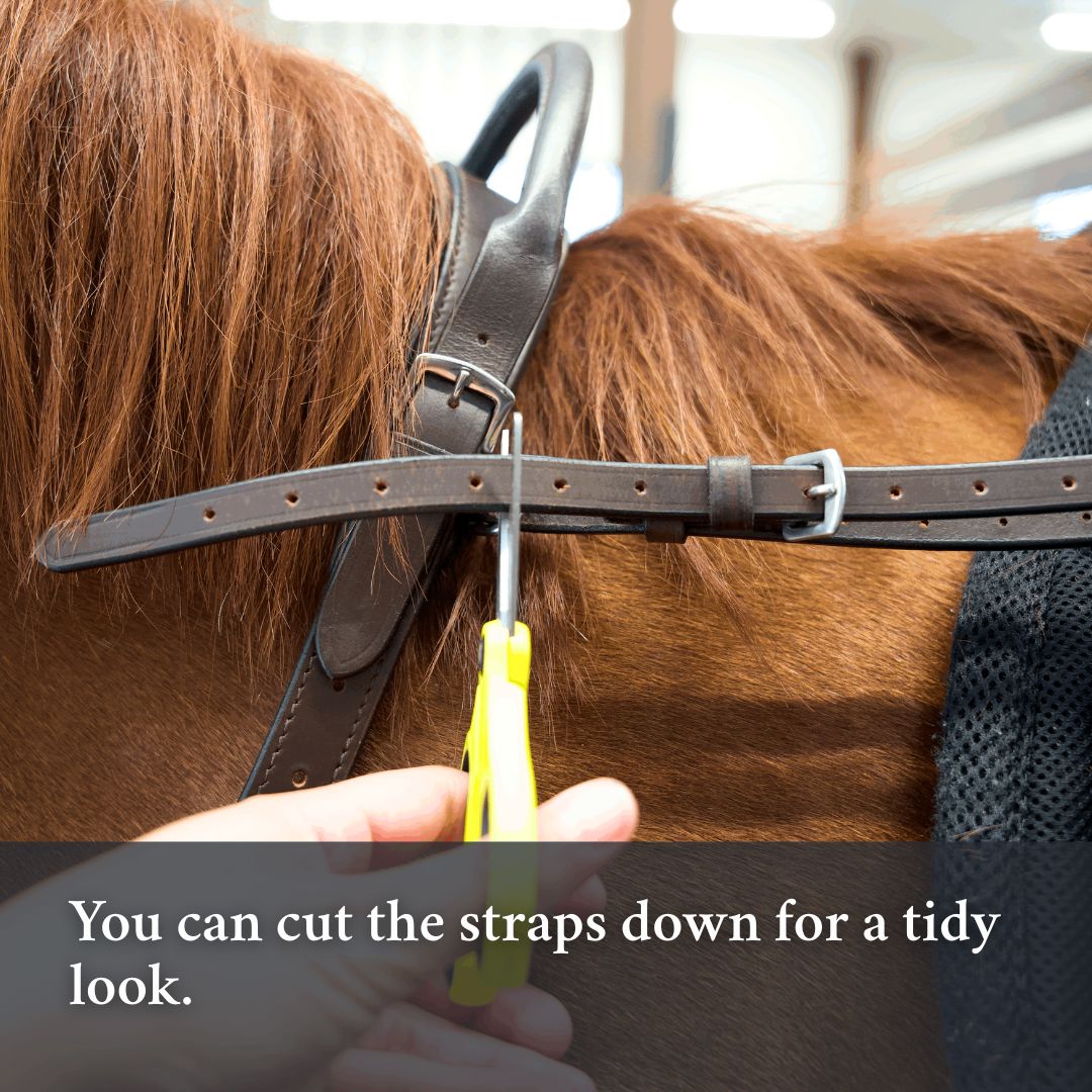 How to measure for the Double Neck Strap