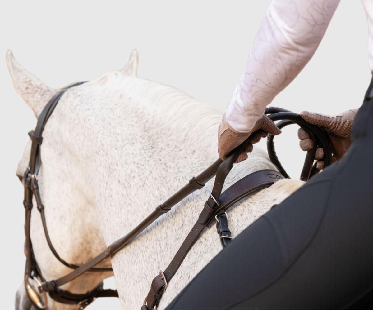 Rider's gloved hands holding the reins and the brown neck strap loop on a gray horse