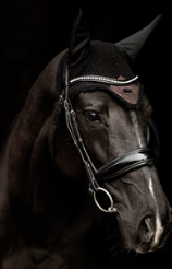 Equestrian Stockholm fly veil — curated English riding accessories in The Grooming Edit at Canter & Crest