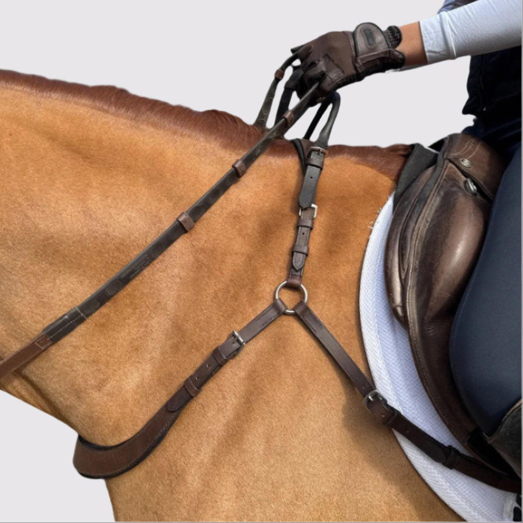 Brown breastplate with a center ring and neck straps on a chestnut horse, side view under saddle