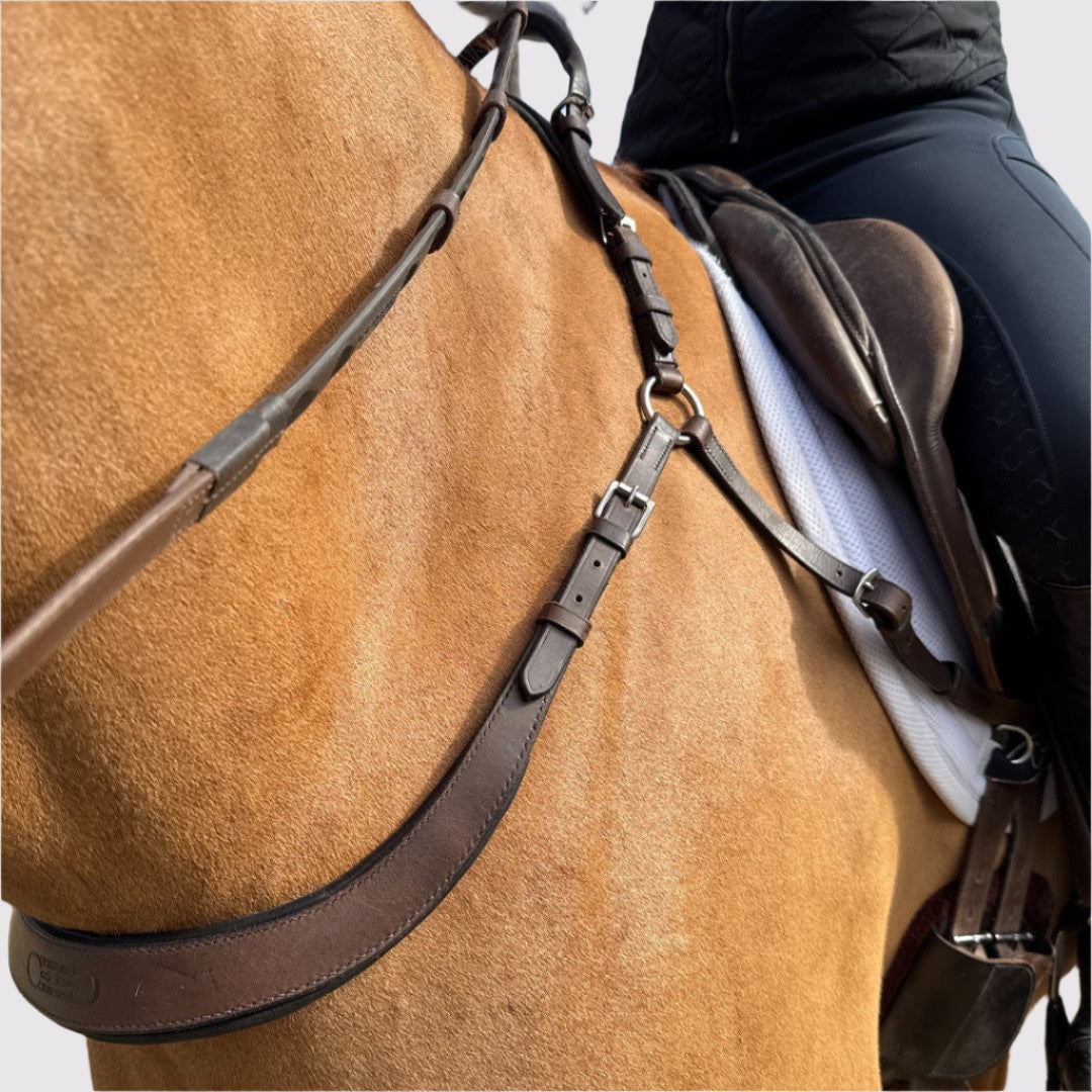 Close-up of the brown breastplate chest strap, center ring and buckles at the horse's shoulder