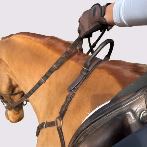 Brown breastplate on a chestnut horse, angled view with a rider's gloved hand holding a neck strap loop