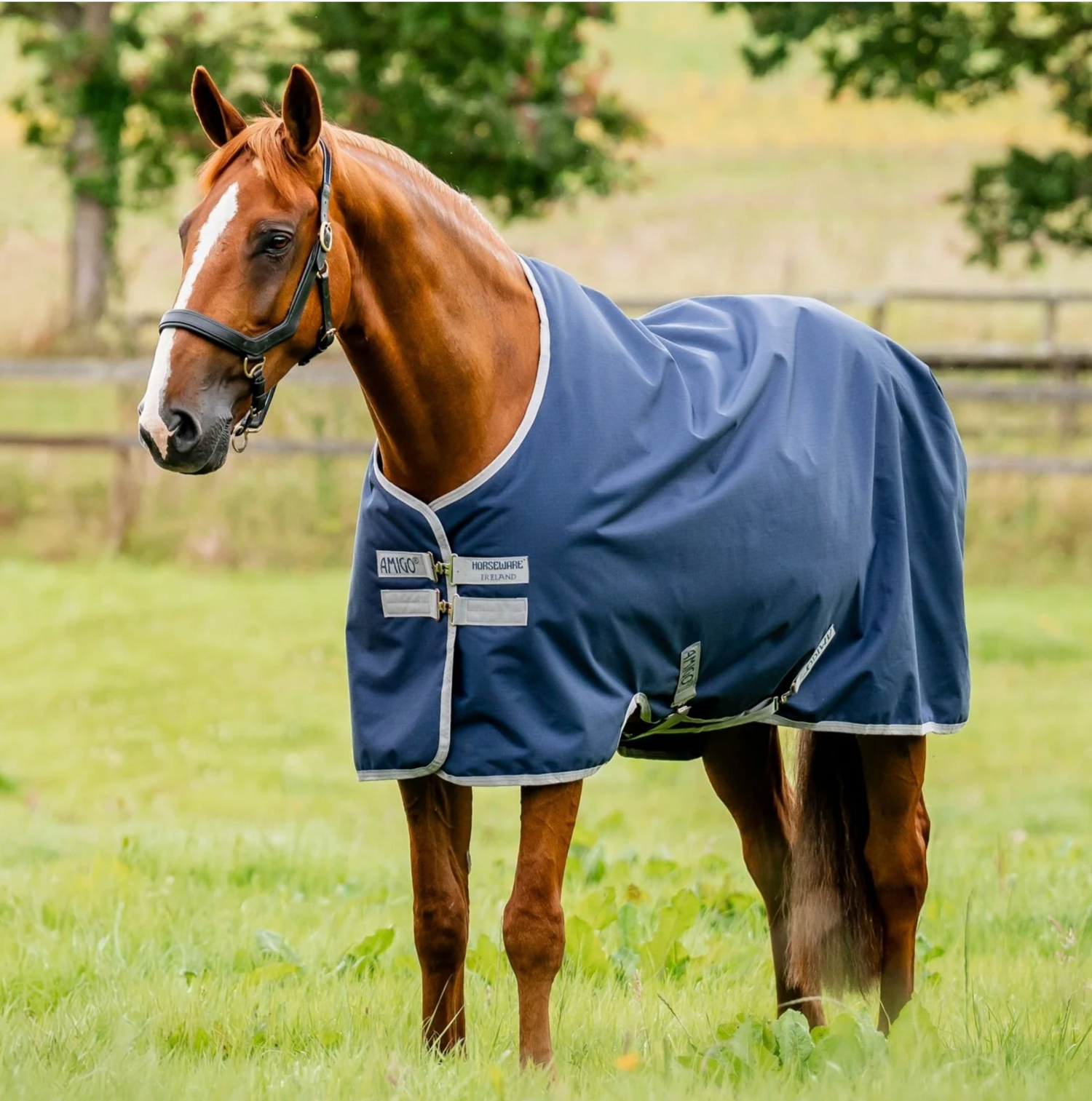 Horseware Ireland Amigo Bravo 12 turnout rug close-up showing the Disk-Front closure system, leg straps, and Horseware Ireland branding on a neutral background