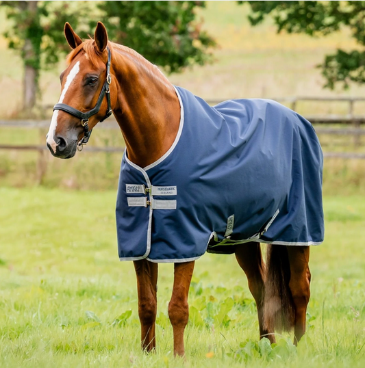 Horseware Ireland Amigo Bravo 12 turnout rug close-up showing the Disk-Front closure system, leg straps, and Horseware Ireland branding on a neutral background