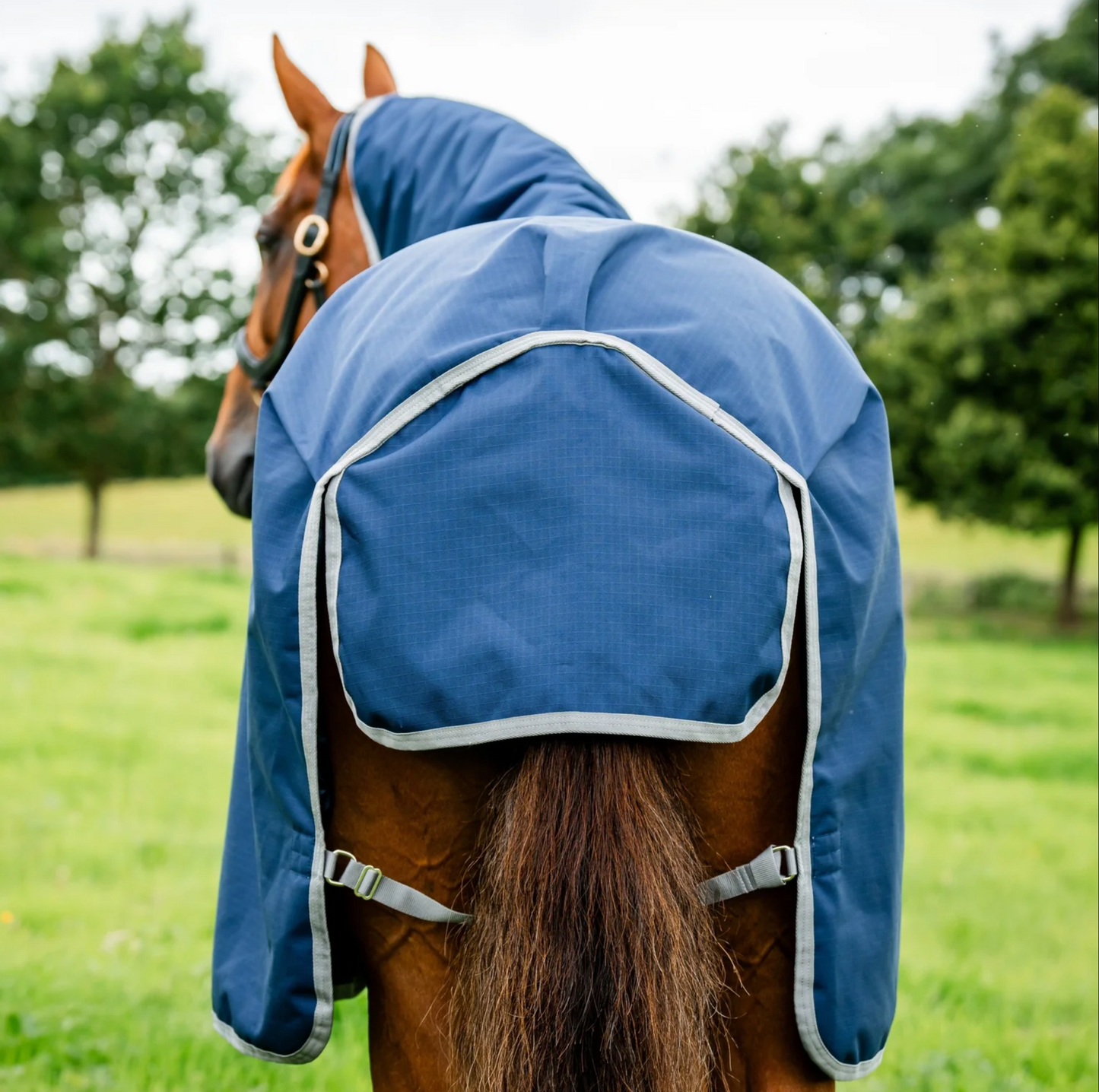 Horseware Ireland Amigo Bravo 12 Original 0g Lite Turnout Rug in navy shown on a horse in a field, displaying the 1200D shell, Disk-Front closure, and tail flap