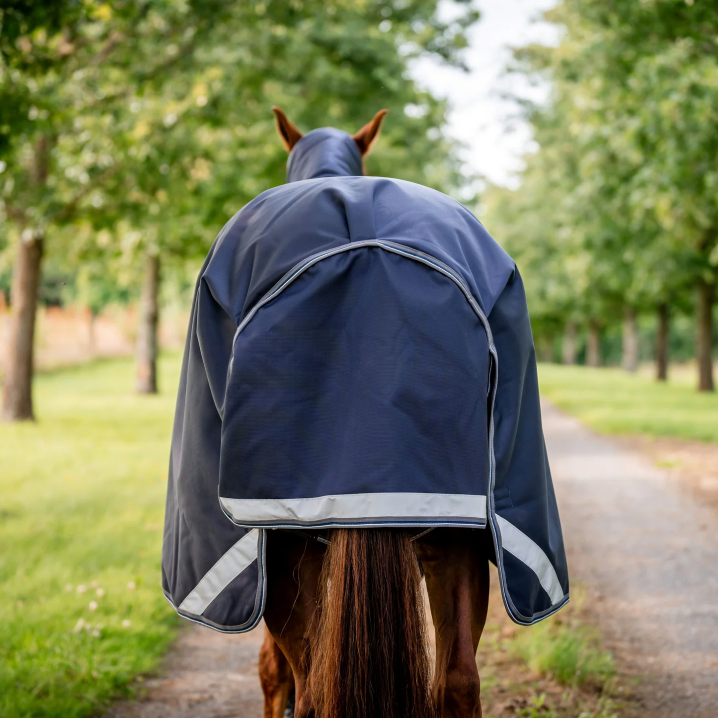 Horseware Ireland Rambo 1680D 450g Vari-Layer Turnout Rug | Canter and Crest | Heavy Turnout Rug