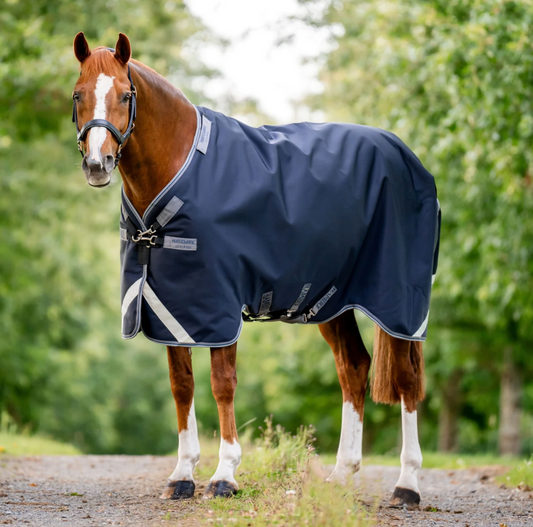 Horse wearing a navy blue rug with white trim standing on a path with greenery in the background