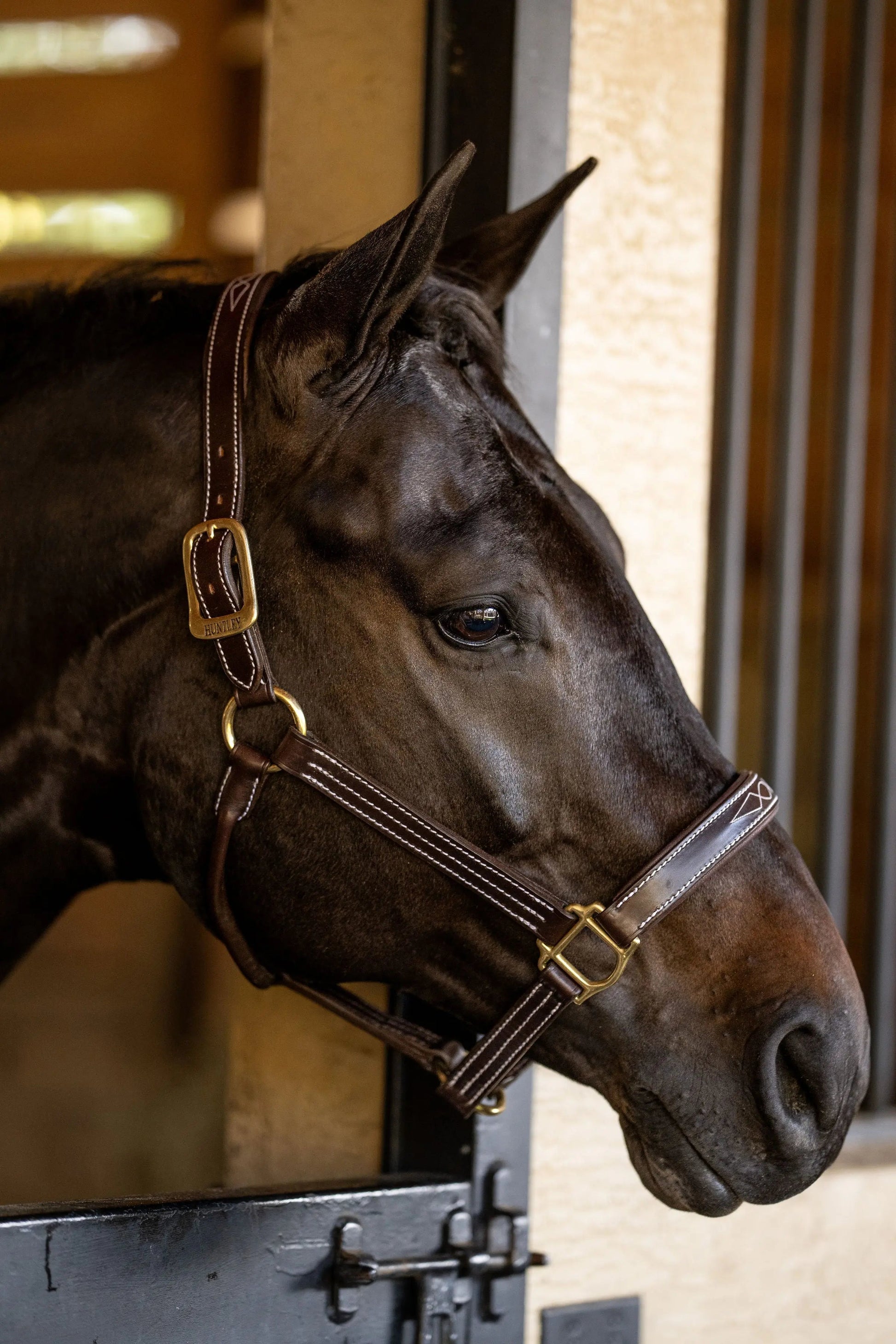 brown leather horse halter with contrast stitching classic equestrian style